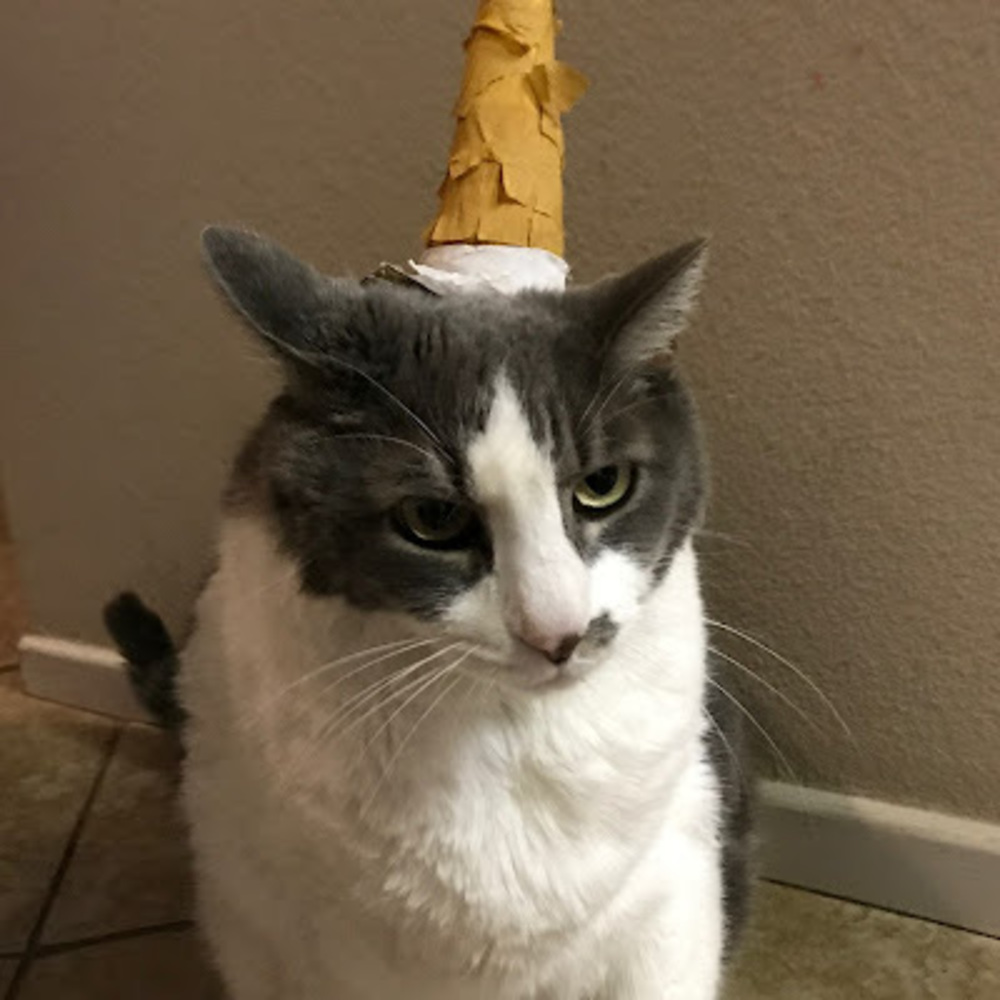 Meet your Posher, Angela